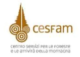 logo cesfam